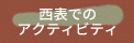 西表でのアクティビティ
